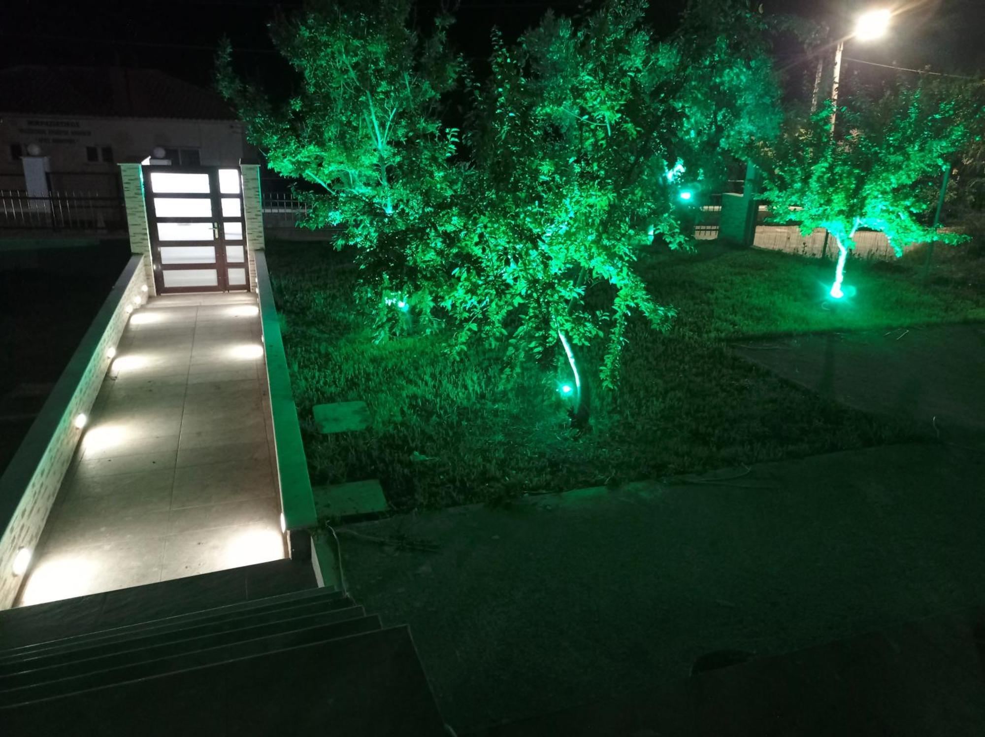 The Olive House