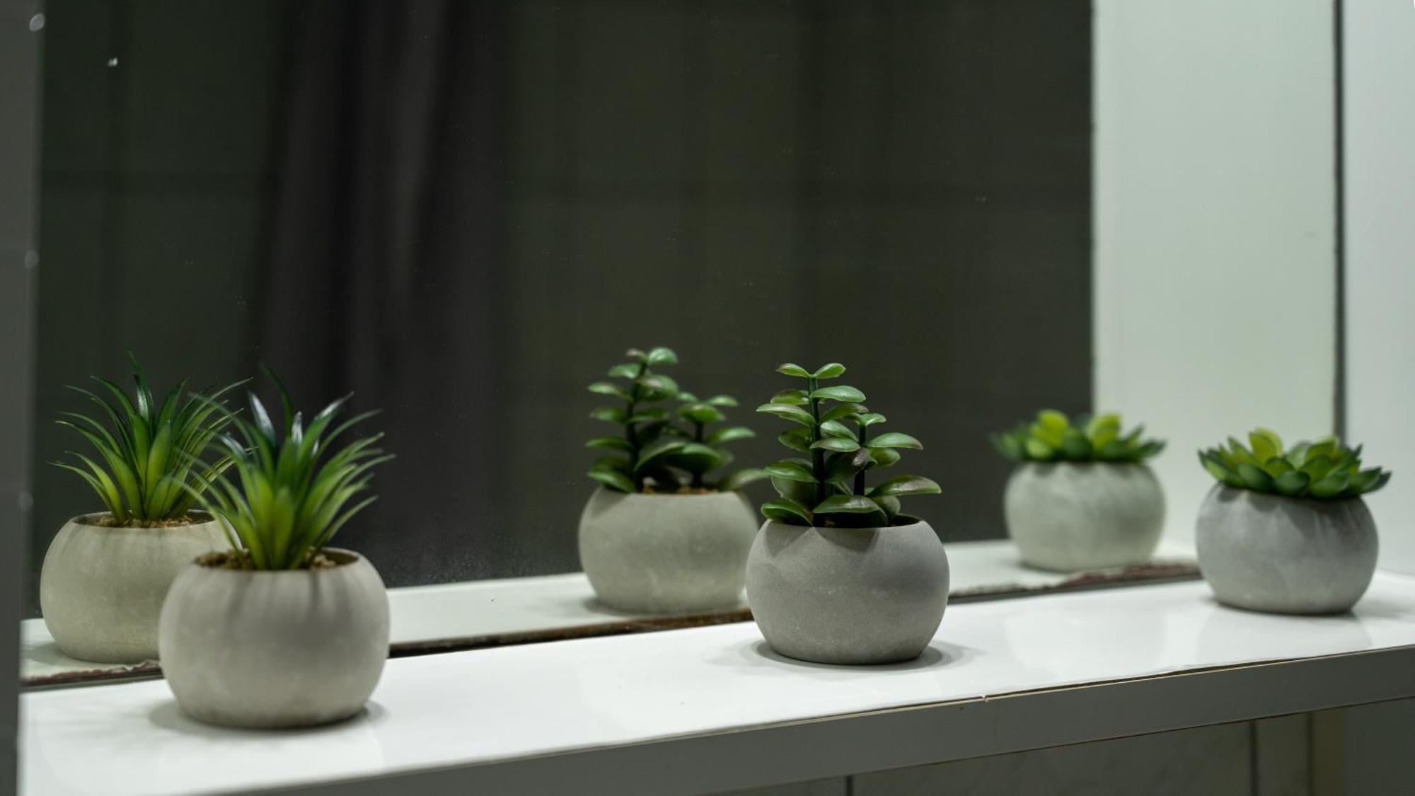 The Olive House Apartment *